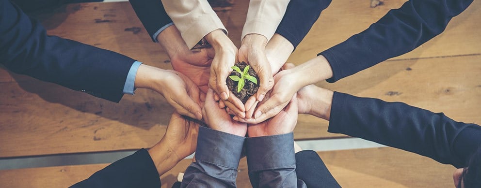 Mehrere Hände strecken sich in die gemeinsame Mitte und halten zusammen einen kleinen Erdhaufen mit einer Pflanze