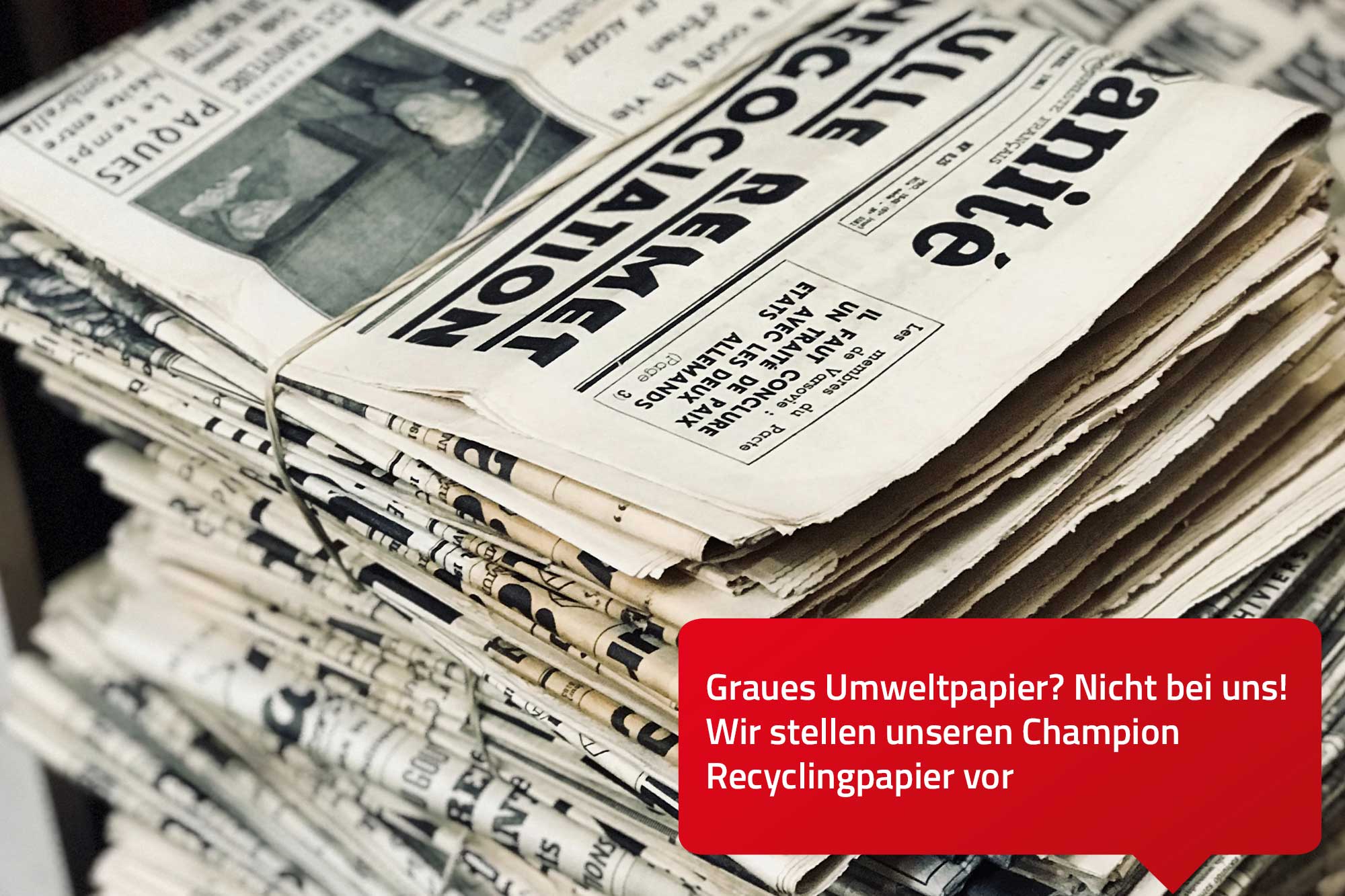 Unser Umwelt-Champion: Recyclingpapier