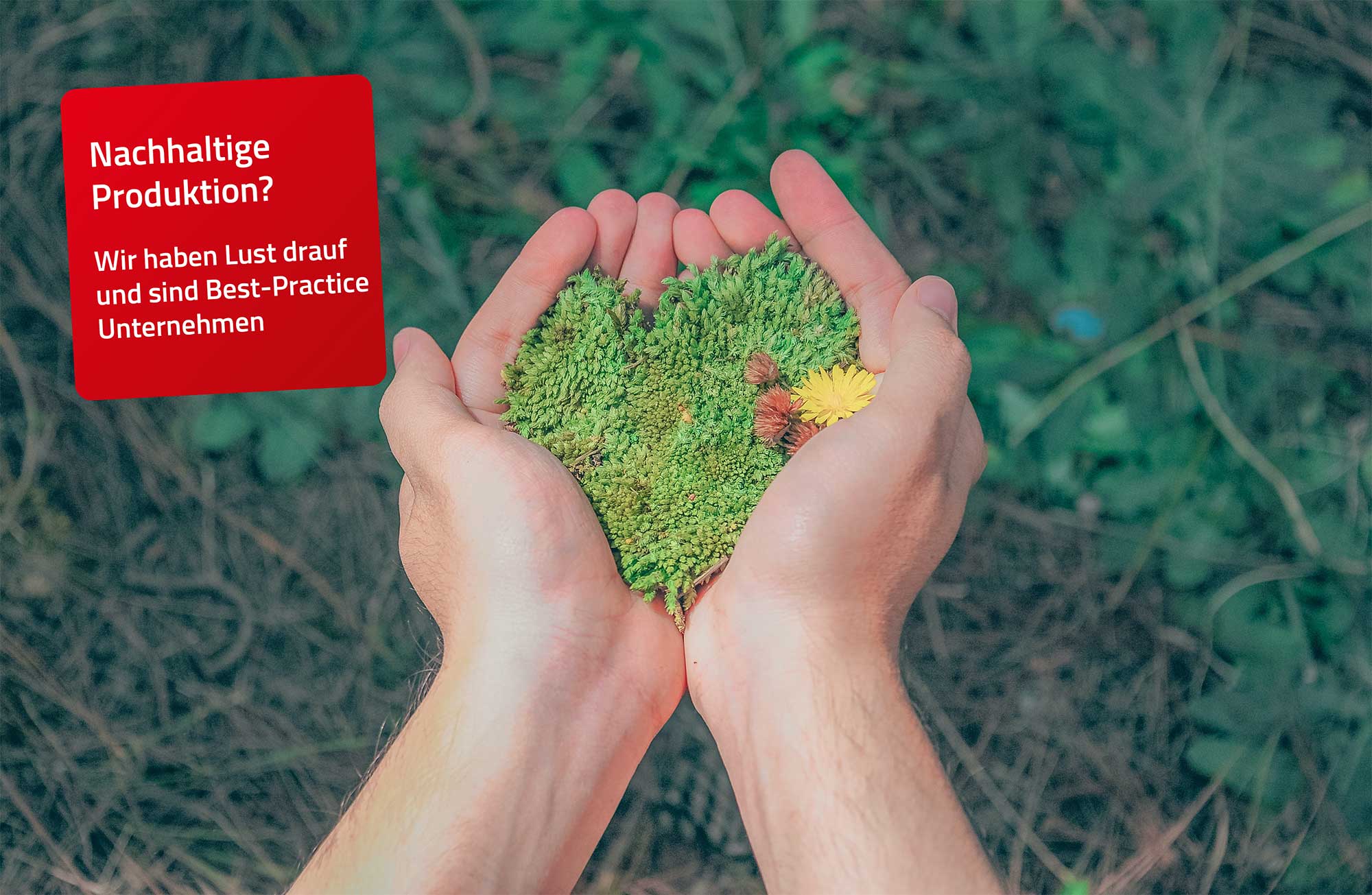 Lust auf nachhaltige Zukunft? JA!